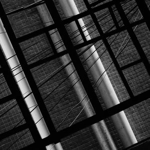 “下雨天”国蛋&蛋堡Soft Lipa Type beat