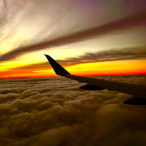 いつかまた君と