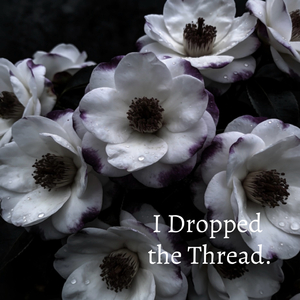 I Dropped the Thread