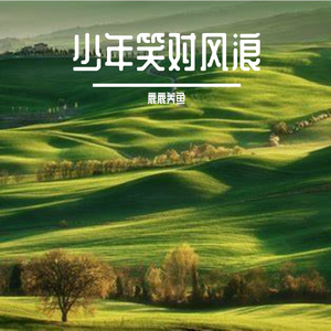 香樟落叶