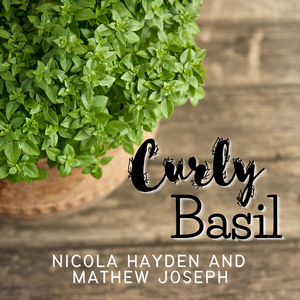 Curly Basil