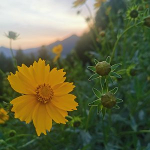 错守千年