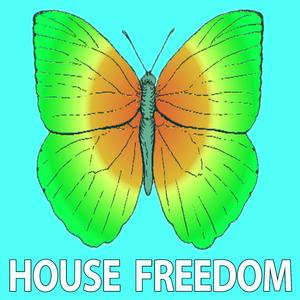 Plosive (Original Mix)