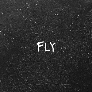 Fly