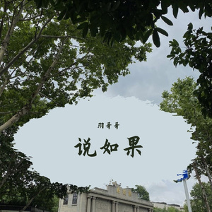 说如果