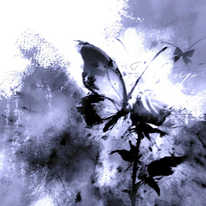 想你就写信 想哭就弹琴