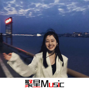 伤心一百天(快手DJ完整版)