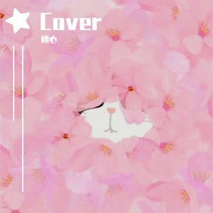 关于盛夏的光和影