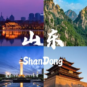 山东大白将——纵有万难乱我心