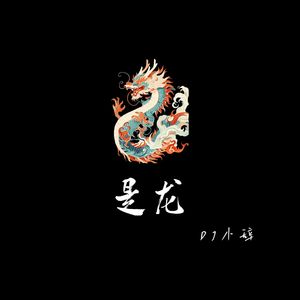 是龙（DJ版）