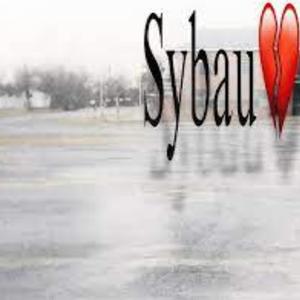 SYBAU!