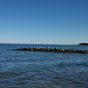 Another Sad Song (Acoustic version)