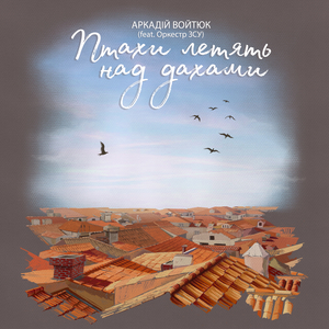 Птахи летять над дахами