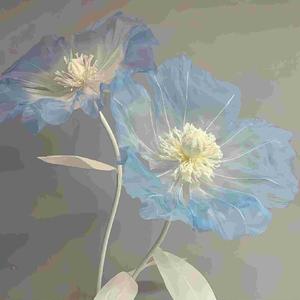 内心丰盈者 独行也如众（独善其身或许就是最 好的状态）