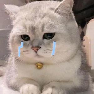 写给我第一个喜欢的男孩的歌