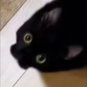 深志行熟