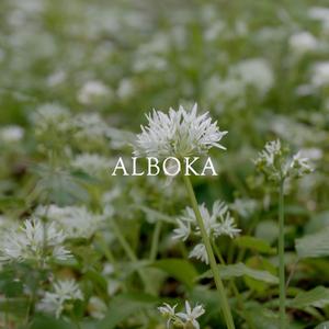 Alboka