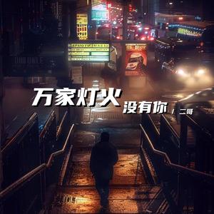 万家灯火没有你