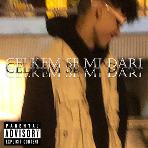 celkemSEMIdari