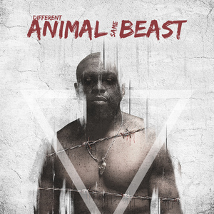 Different Animal Same Deast