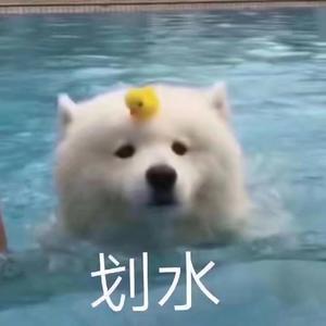 小嫦娥