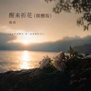 醒来折花