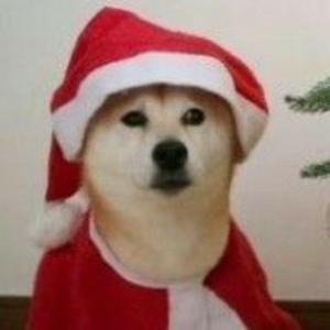 re1的demo