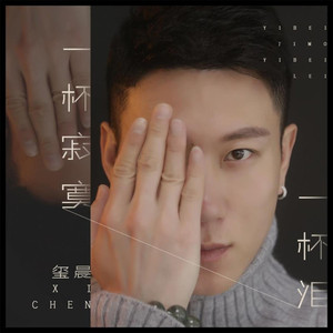 一杯寂寞一杯泪