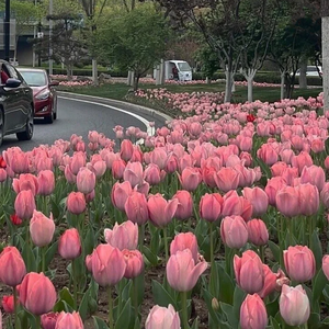 就是爱你