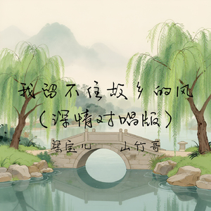 我留不住故乡的风（深情对唱版）