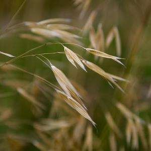 蛙叫蝉鸣 白噪音放松