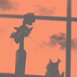 红蔷薇白玫瑰(吉他弹唱)