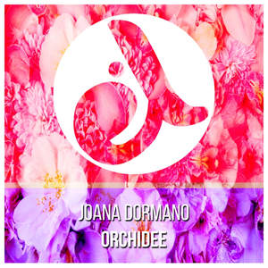 Orchidee (Original Mix)