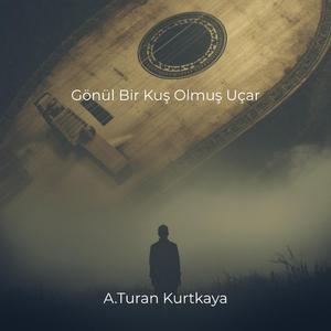 Gönül Bir Kuş Olmuş Uçar