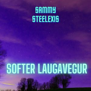 Softer Laugavegur