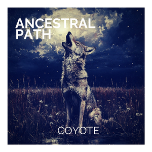 Coyote