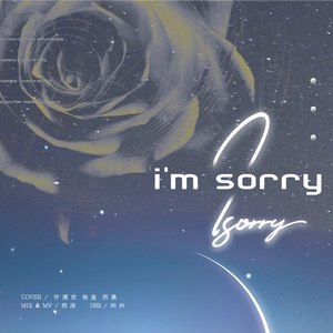I`m sorry（翻自 青春有你）