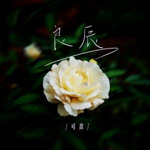 良辰（恰逢那年你明媚）