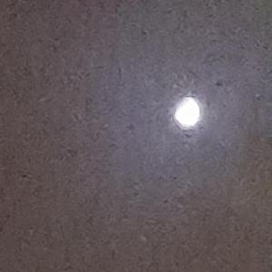 Talk To Myself(Why?)