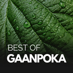 Batashe Ful Jhore Jay Ful