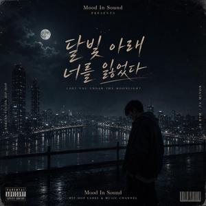 달빛 아래 너를 잃었다