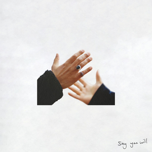 Say You Will