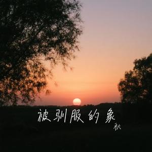 变心的翅膀 (Cover 陈明真)