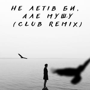 Не летів би, але мушу (Maestro_Barsik) (Club Remix)