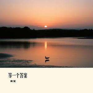 等一个答案