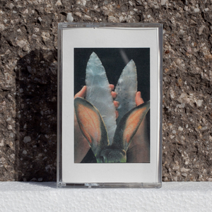 Bedeutungsschwangerer Titel