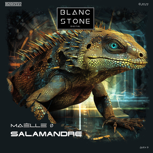 Salamandre (Original Mix)