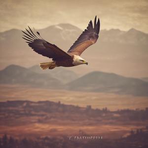 Դու հայ ես by @reelingrecordproducer556