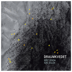 Draumkvedet