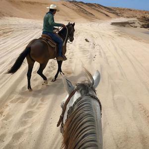 yasir / VickyONE#-安和桥v春娇与志明（阳同学 remix）